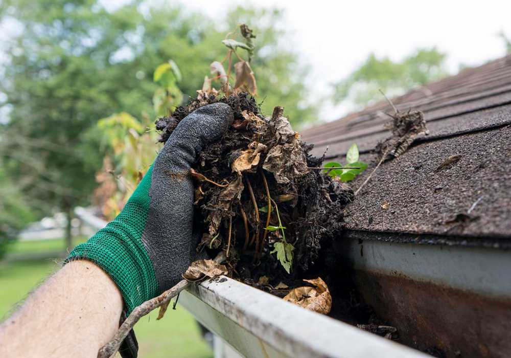 gutter cleaning company cheltenham