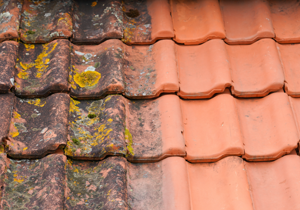 roof cleaning cheltenham