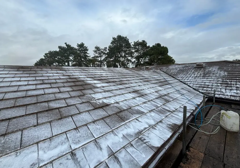 Roof Cleaning Services