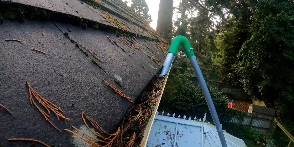 Signs Its Time For A Professional Gutter Cleaning