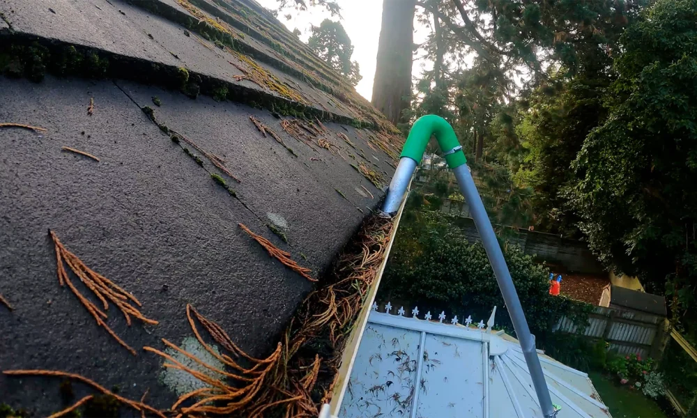 Signs Its Time For A Professional Gutter Cleaning