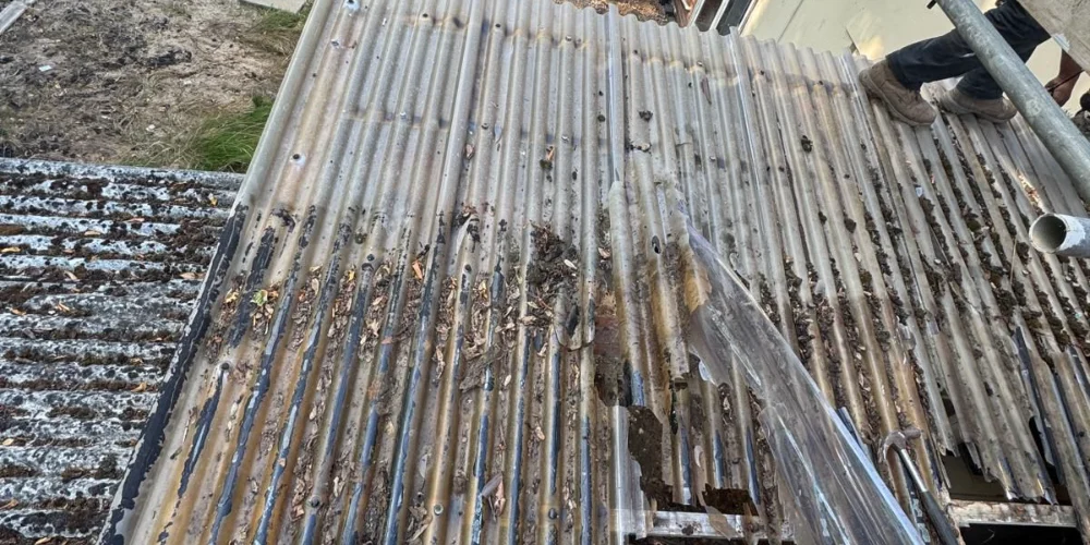 Corrugated Roof Replacement and EPDM Installation in Cheltenham