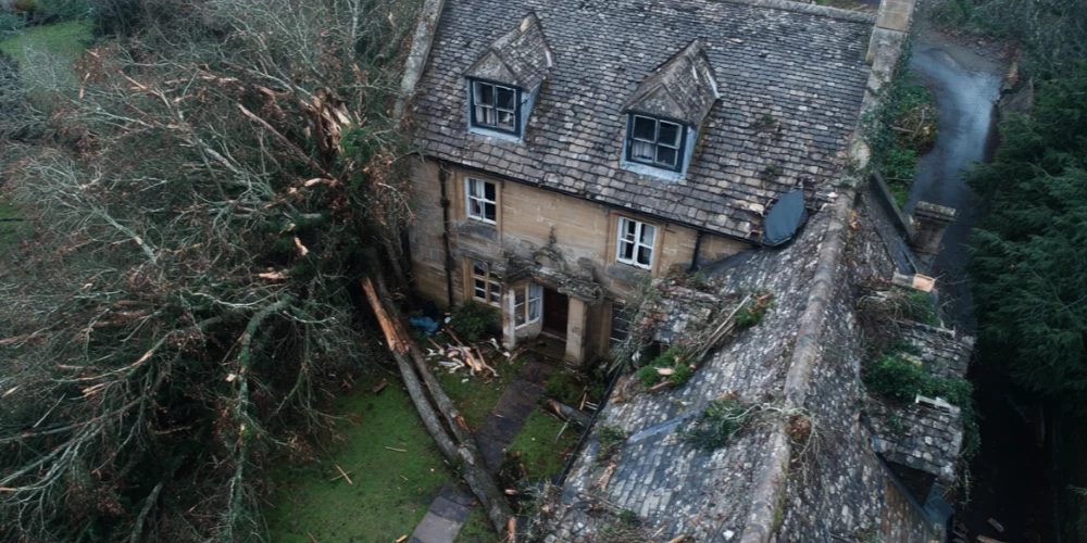 How Fallen Branches and Debris Can Damage Your Roofline
