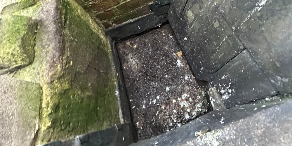 How Small Gutter Issues Turn Into Big Structural Problems