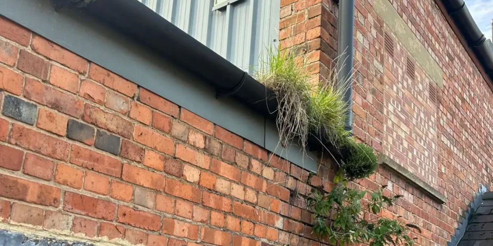How To Maintain Your Gutters And Prevent Costly Repairs